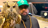 Big Boi brengt zijn huisdieruil naar de studio
